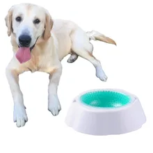 Горячая DorpShip Собака Щенок чаша держать воду холодной охлажденной и свежий съемный Морозильный Core 450 мл Холдинг ёмкость PW012