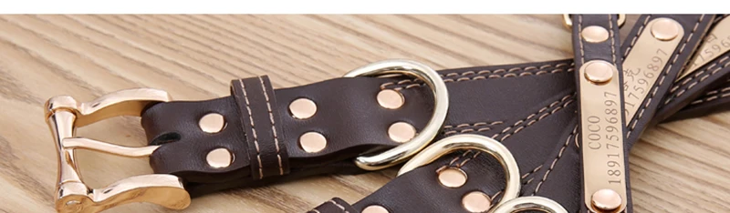 Collar (7)