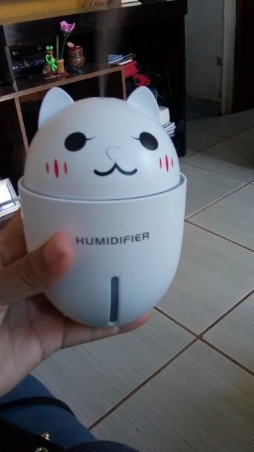 3 in 1 Fan Light Humidifier photo review