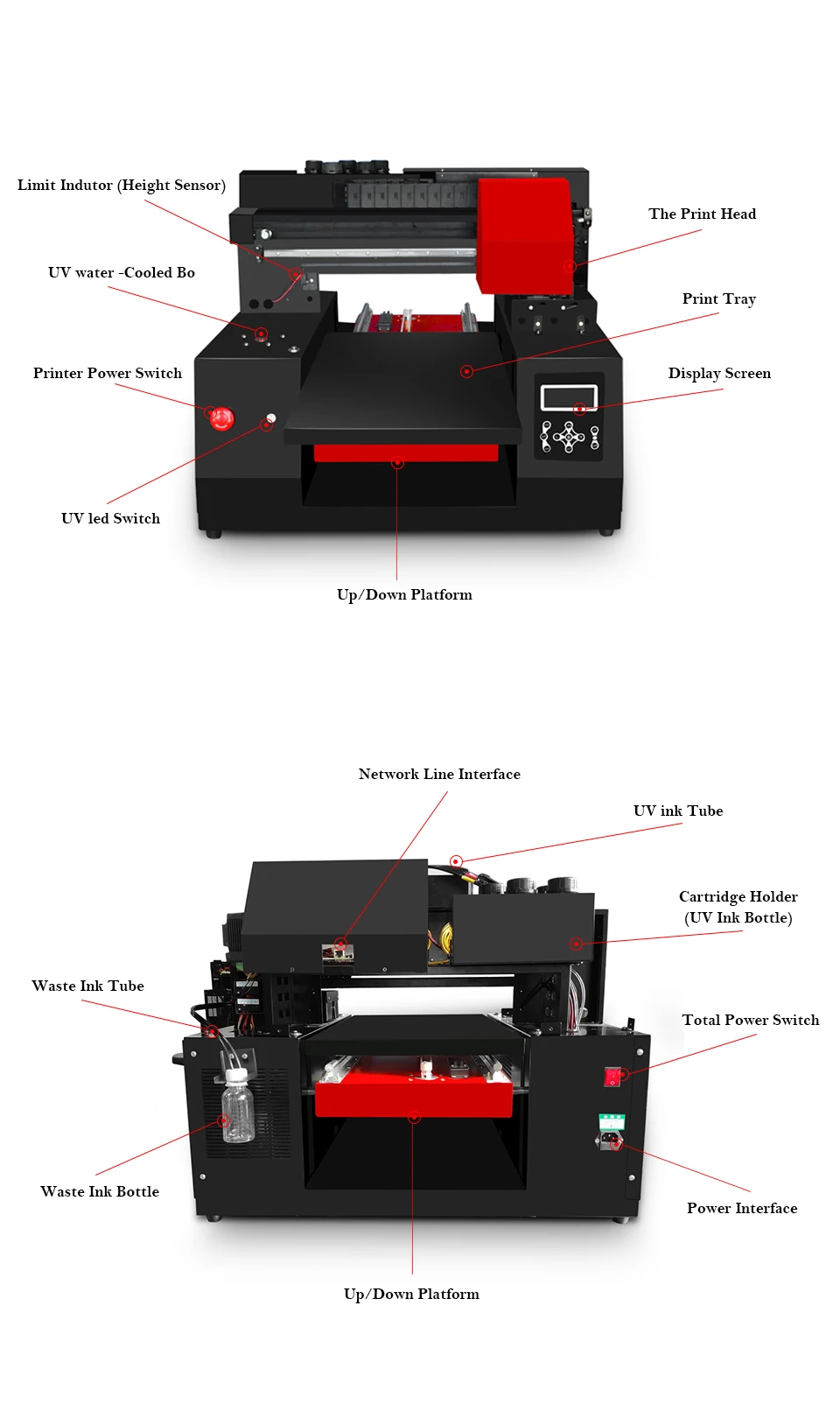 Colorsun автоматический DTG принтер A3 размер печати Футболка текстиль для Epson DX9* 2 300*600 мм с лотком для футболок 3060 DTG принтер