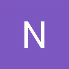 N***p