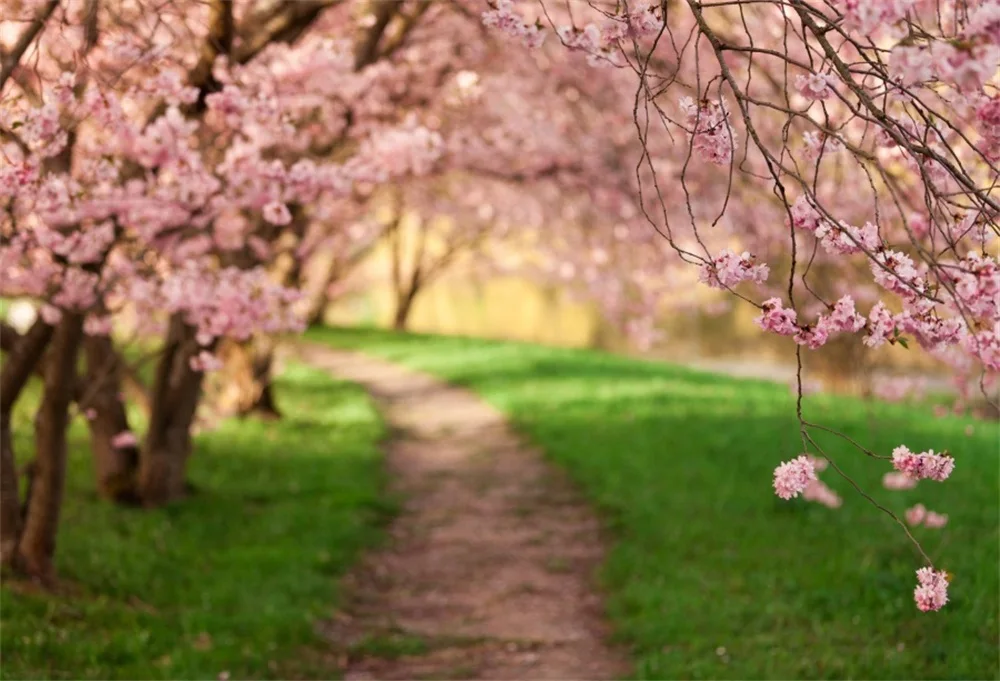Laeacco Spring Flowers Tree Lawn Road Bokeh Scenic Photography
