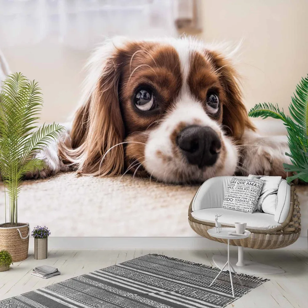

Else Brown Cute Sleeping Puppy Dog Animals 3d Photo Cleanable Fabric Mural Home Decor living Room Bedroom Background Wallpaper