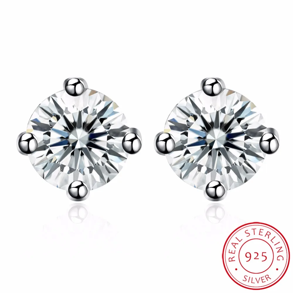 encased elegance silver earring