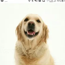 G***a