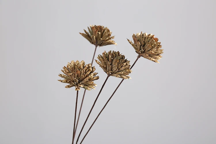23A-6