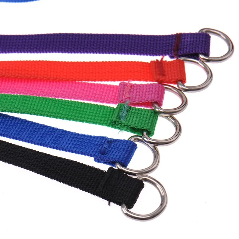 leash