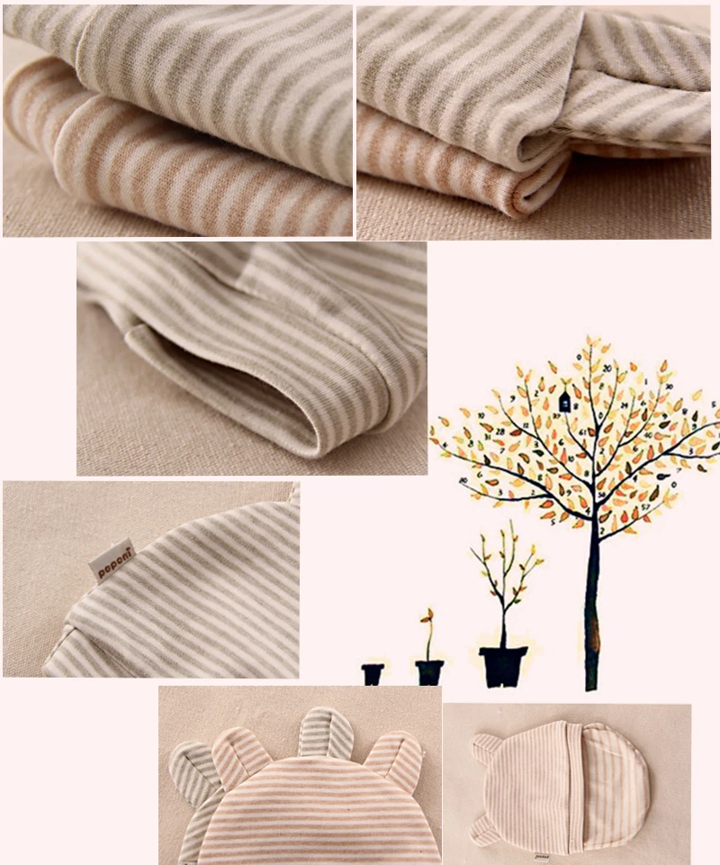 8795408264_1896004830_