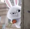 J***h