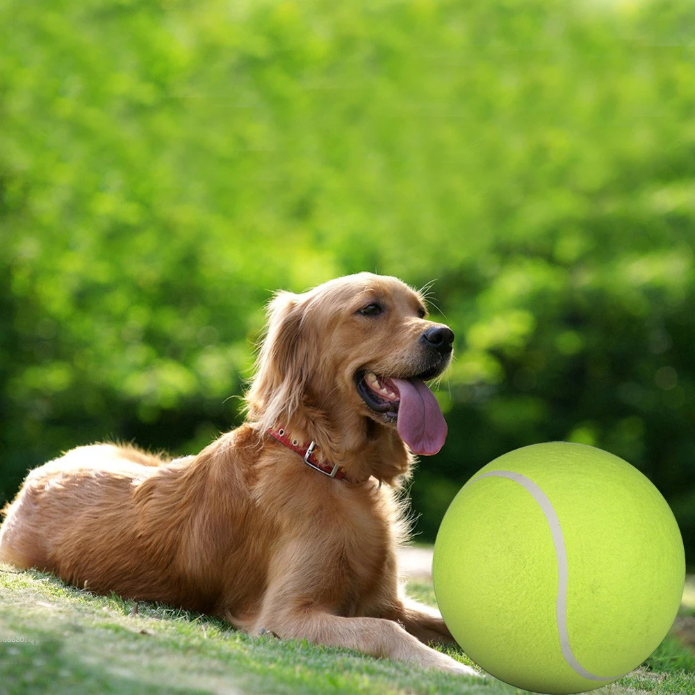 big tennis ball for dogs