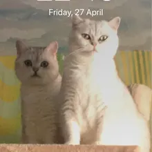 f***r