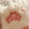 F***s