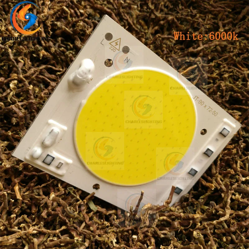 CHARLES LIGHTING COB светодиодный 20 Вт 30 Вт 50 Вт лампа COB 220 В Смарт IC драйвер холодный теплый белый вход IP65 Smart IC для DIY прожектора