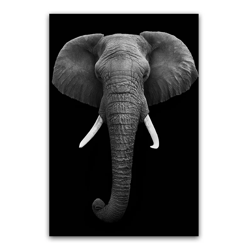 GOODECOR черно-белая картина с изображением слона, печатный плакат для гостиной, современная домашняя декоративная картина, печать на холсте - Цвет: MD4843-1
