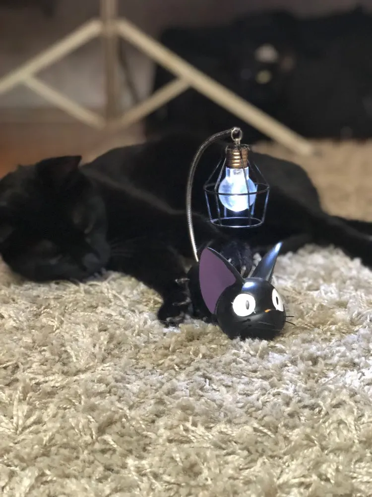 Buy Kiki's Delivery Service Jiji Cat Led Desk Lamp (2 Styles) Lamps