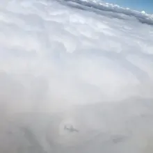 A***m