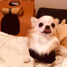 S***o