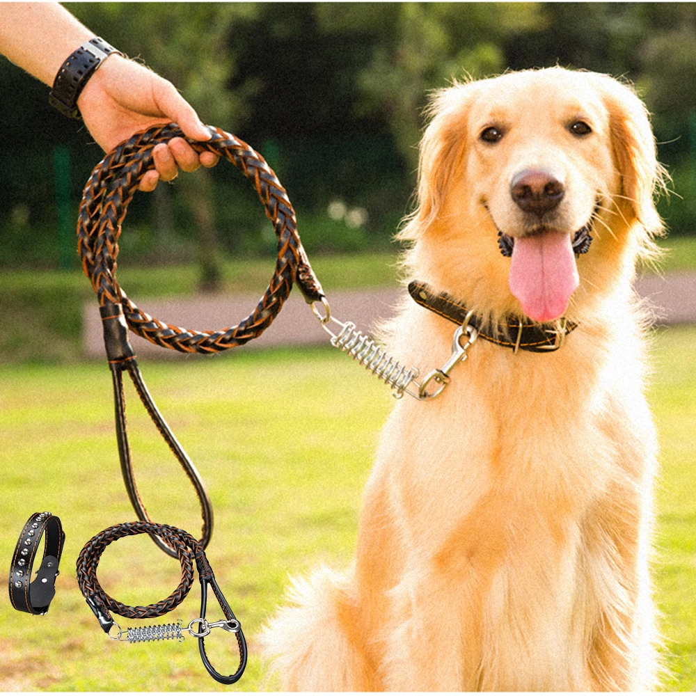 Hipidog Luxury Leather Pet Dog Leash Strong Puppy Classical Collar