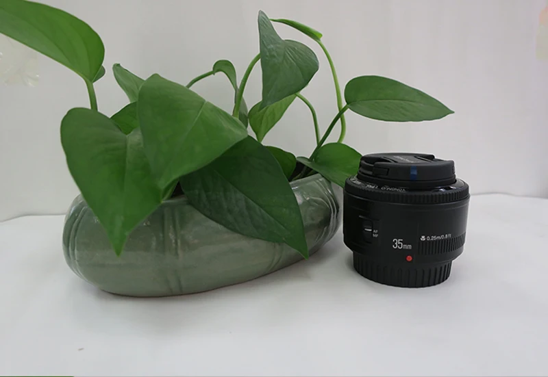 c yn-35mm f2 (3)