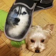 A***k