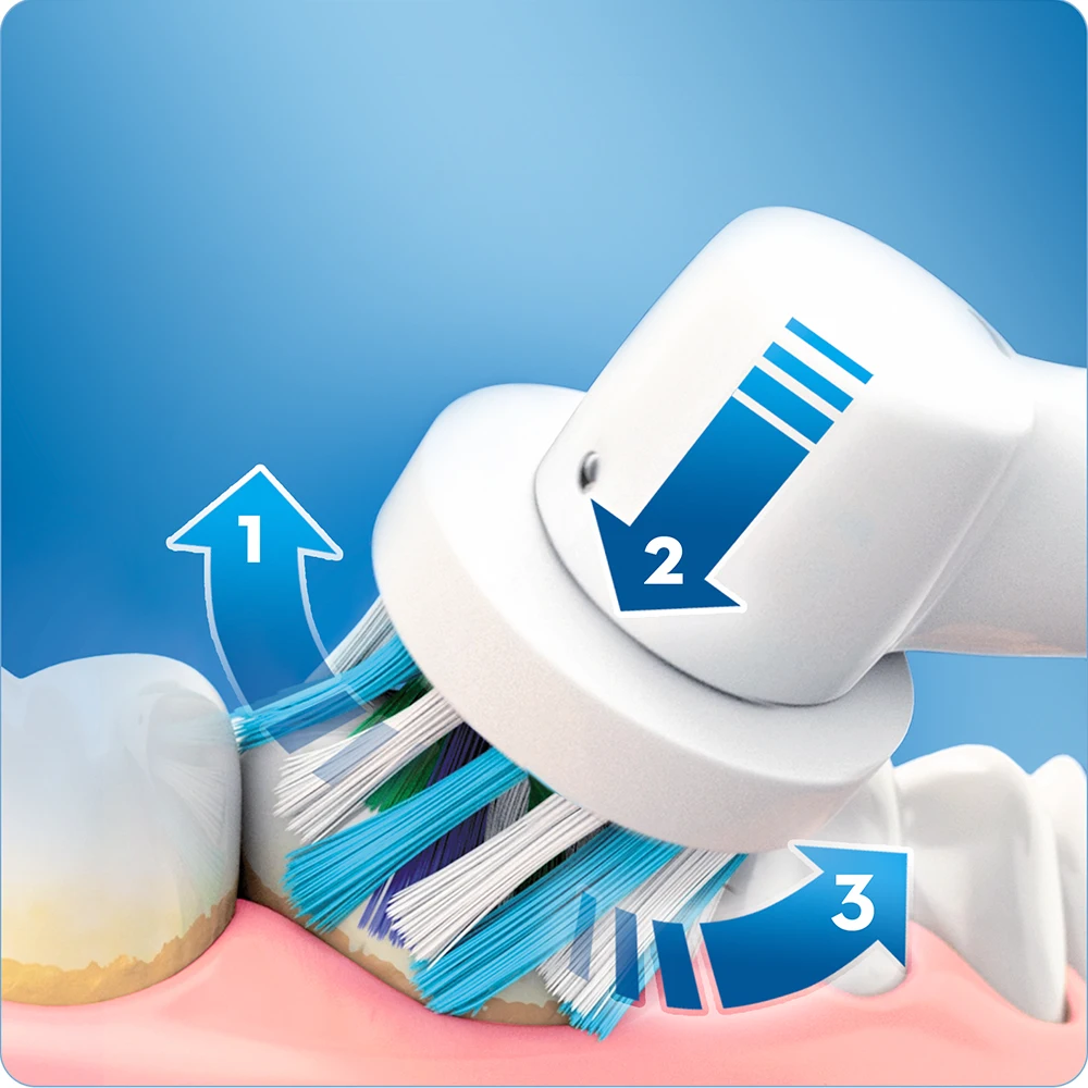  Oral-B PRO 600 CrossAction Purple Edition Cepillo de dientes Eléctrico con tecnología Braun + Champ