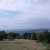 A***l