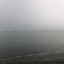 F***i