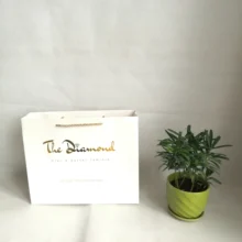 Заказная Высококачественная Модная белая глянцевая бумажная сумка для покупок подарки/одежда с золотым логотипом Foiled