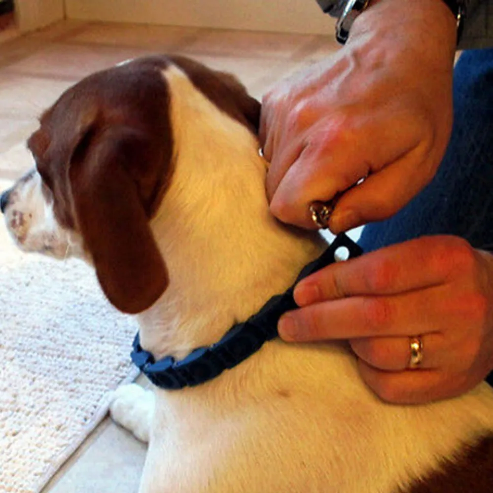 Pro Training Pinch Dog Collars Dog Command Collar Adjustable With Extra