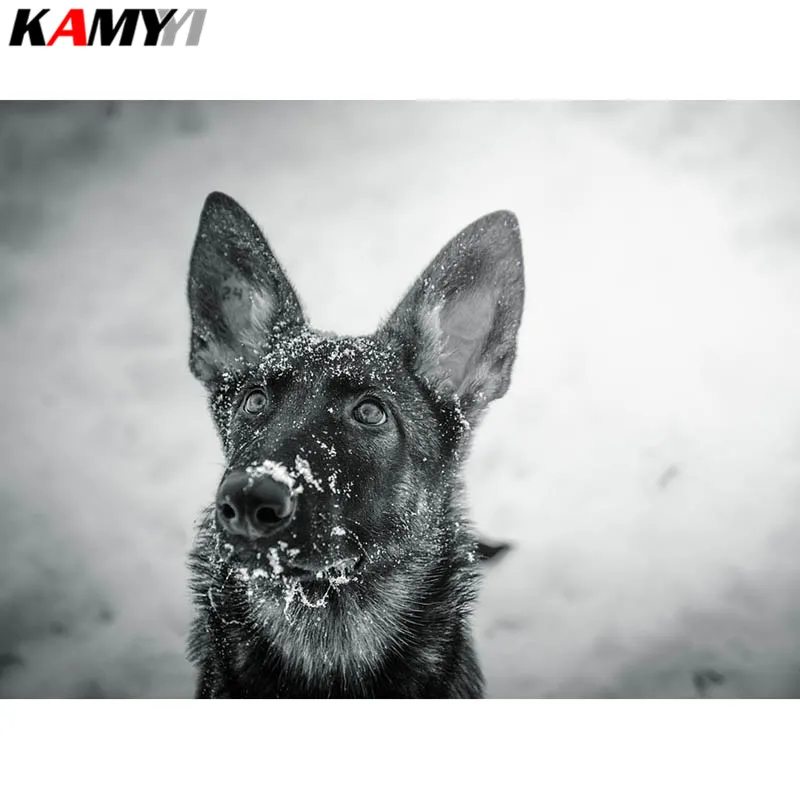 

Full Square Diamond embroidery Full Diamond mosaic DIY 3D Diamond painting Cross stitch Snow dog rhinestones