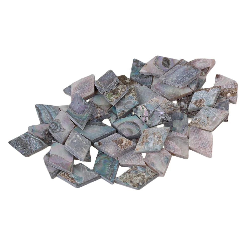 

Yibuy 500x Abalone Mandolin Banjo Diamond Dots Makers for Guitar Fingerboard