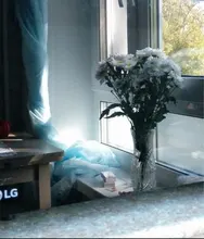 D***a