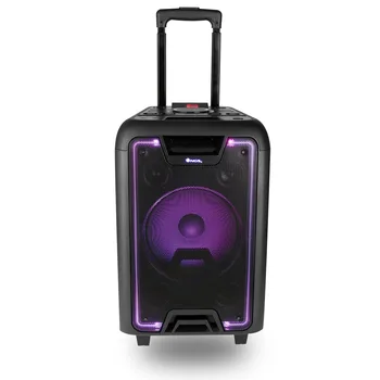 

Portable speaker with Bluetooth (MP3, WMA, Real Audio) Color Negro-NGS Wild Metal