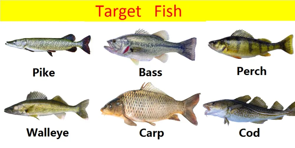targetfish