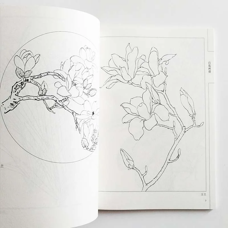 94Pages Chinese Painting Hundred Flowers Line Drawing Collection Art Book Adult Coloring Book Relaxation and Anti-Stress
