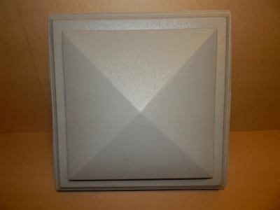 DSCN4971 400