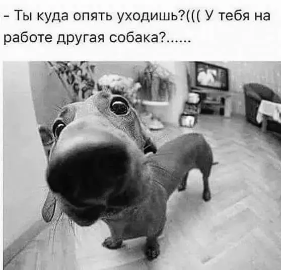 sq11 hd 1080 p мини камера отзывы