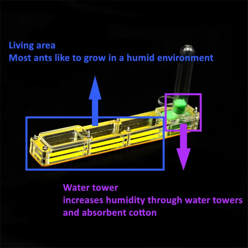 Anthouse Acrylicant nest  BIG Starter Kit formicarium ant farm with water tower moisturizing  (2)