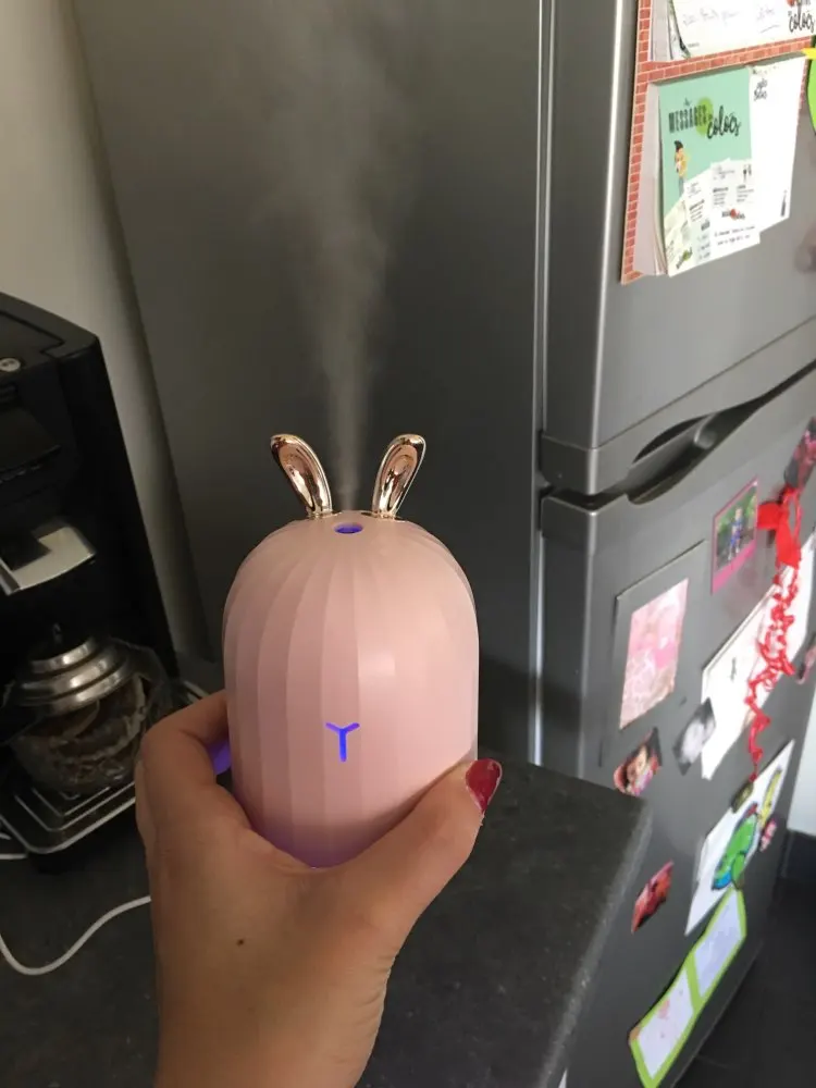 Humidificateur d'Air KAWAII