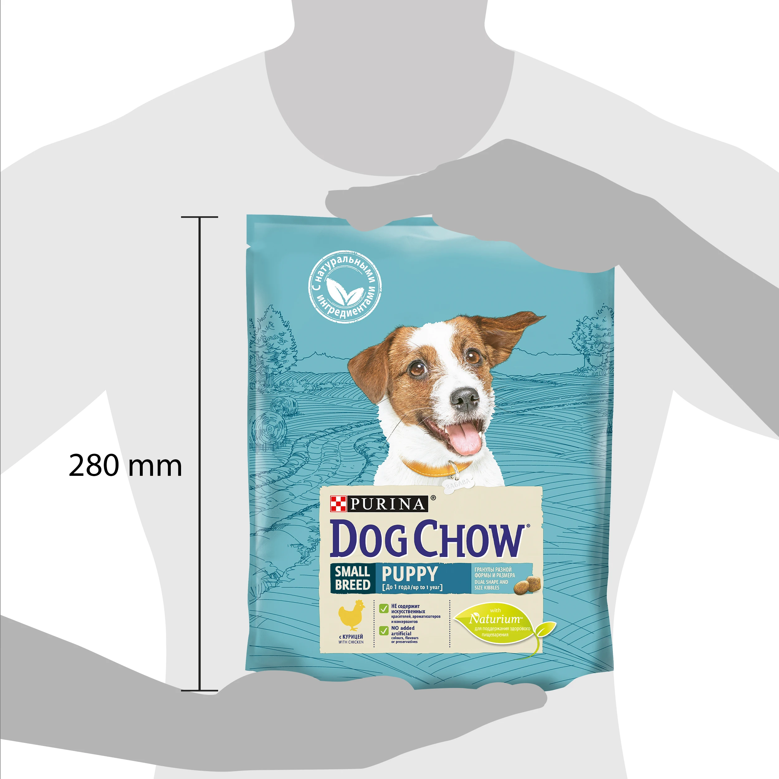 Сухой корм Dog Chow для щенков мелких пород, с курицей, Пакет, 800 г