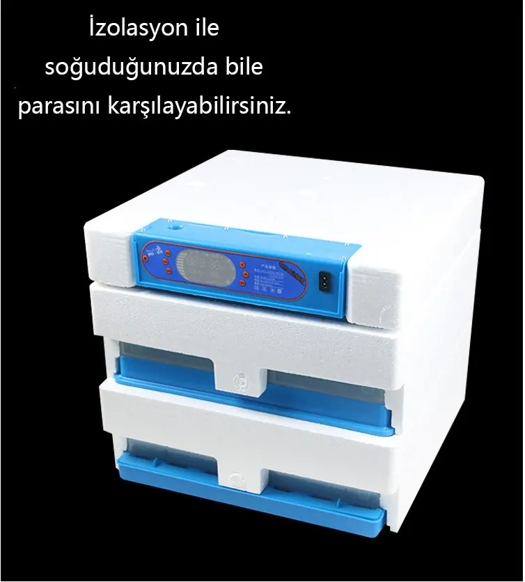29