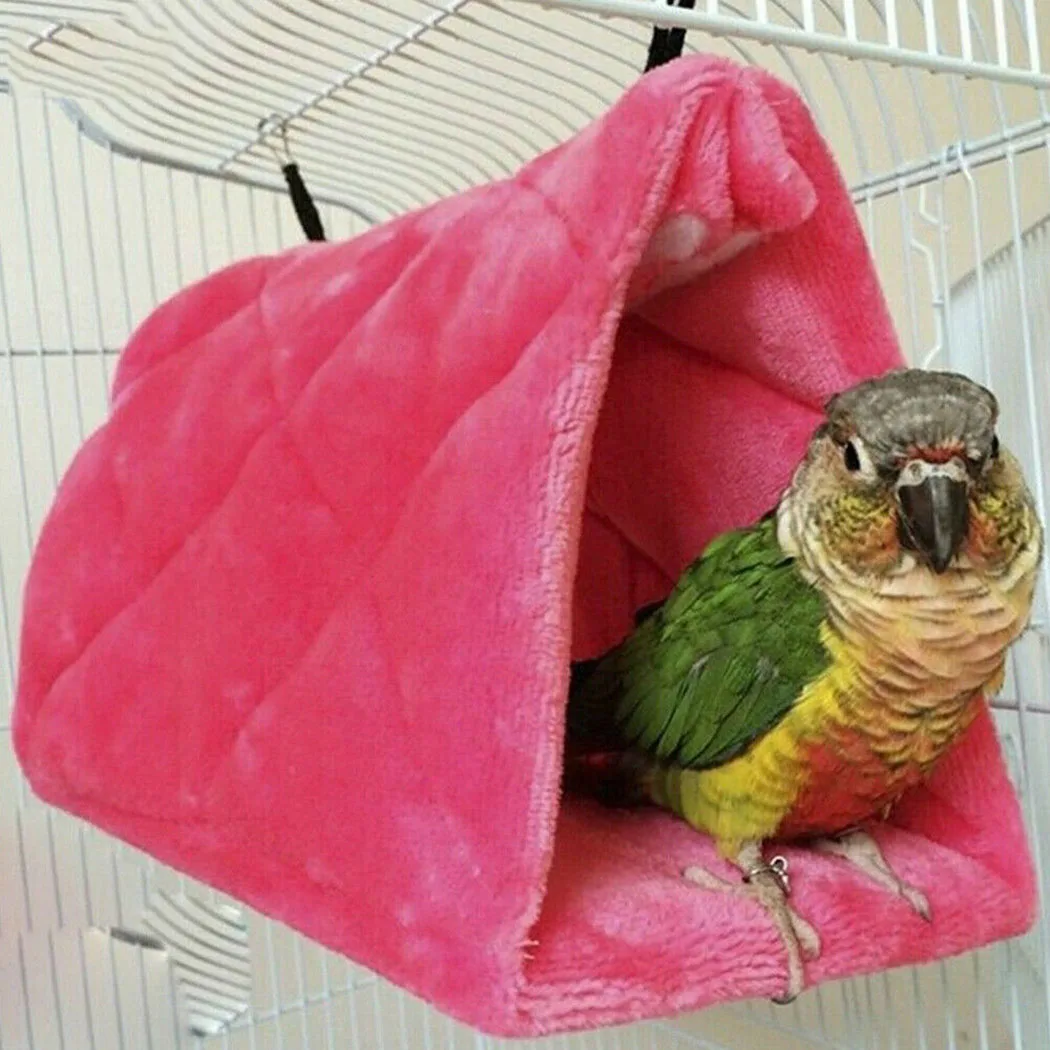 Tent Hammock parrot