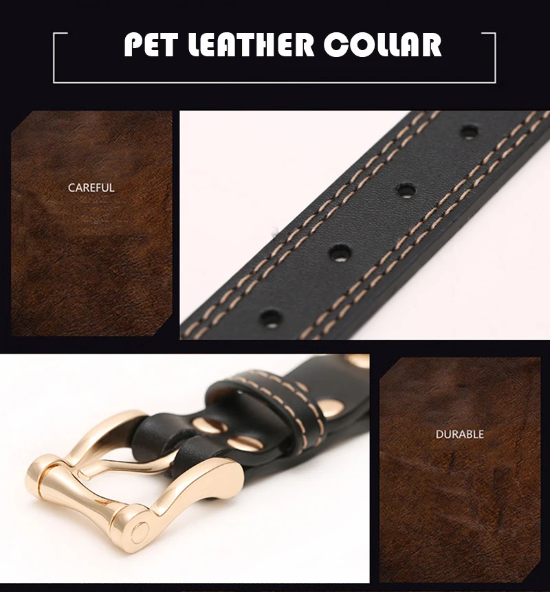 Collar (12)