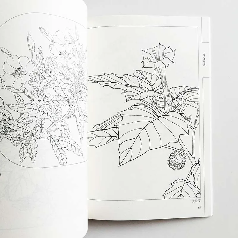 94Pages Chinese Painting Hundred Flowers Line Drawing Collection Art Book Adult Coloring Book Relaxation and Anti-Stress