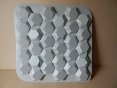 DSCN4720