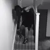 K***z
