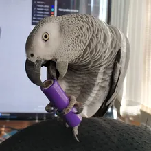 E***k