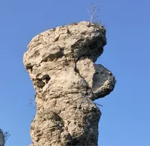 W*** 