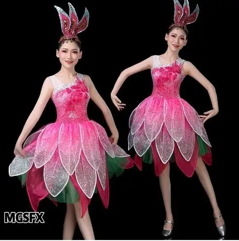 

Modern dance dress Latin dancewear Ballet costume jazz outfits skirt stage performance show