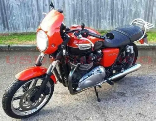 headlight fairing T100 4